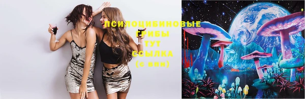ешки Инта