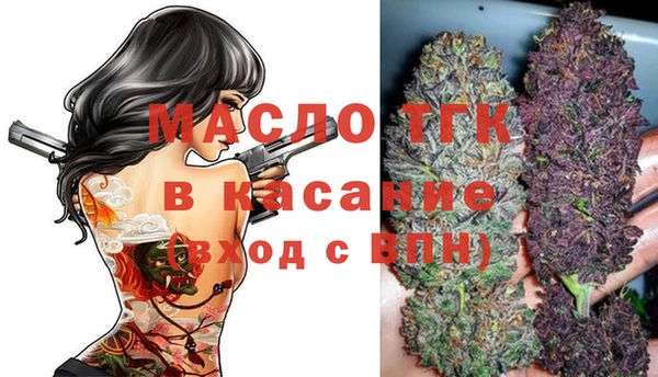 ешки Инта