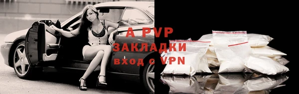 ешки Инта