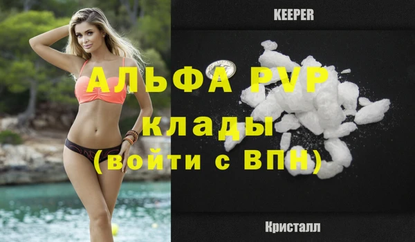 ешки Инта