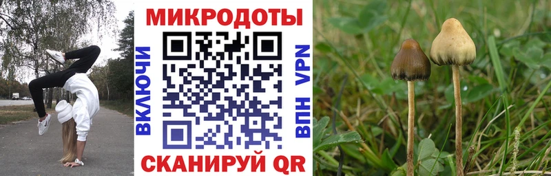 Купить закладки  Тетюши  Псилоцибиновые грибы прущие грибы 